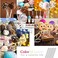 Zopeal 200 Pieces Acrylic Lollipop Sticks Cake Pops Sticks Candy Sticks Treat Sticks for Wedding Halloween Christmas Candy Melt Cake Pops Cupcake Toppers Chocolate Cookie Dessert (Clear, 6 Inch.