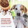 هدايا تذكارية للكلاب من iHeartDogs - مصباح شمسي للحديقة "ملاكي الحارس إلى الأبد" - حجر تذكاري للحيوانات الأليفة.