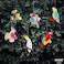 KatchOn Big Tropical Birds Honeycomb Cutouts - Pack of 6, Tropical Party DecorationsHawaiian Party DecorationsLuau Party Decorations, Tropical Birthday Party Decorations, Rainforest Decorations.