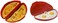 Dependable Industries inc. Essentials Microwaveable Microwaveable Omelet Pan and 2 Tegg Poacher Set BPA Free BPA Plastic Quick Egg Maker.