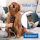 Kodahome Dog Shedding Brush Vacuum Attachment - Pet Groom Tool Kit for Most Vacuum Brands, Doggy Cat Hair Deshedding Comb Fur Remover, De-shedding Removal, with Vac Extension Hose with Adapters.