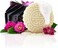 Viori Terrace Garden Shampoo Bar Made with Rice Water - Handcrafted All Natural Shampoo Bars - Sulfate Free Shampoo.