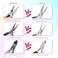 PAXCOO Jewelry Pliers Set, 3Pcs Jewelry Making Tools Kit includes Needle Nose Pliers, Round Wire Cutters for Supplies, Wrapping, DIY Crafts, Beading.