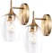 Hamilyeah Gold Sconces Wall Lighting Set of 2, Bathroom Wall Lighting Fixtures Brass, Modern and Vintage Wall Lights with Clear Champagne Glass Shade for Bedroom,Fireplace,Hallway,Kitchen.