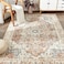 jinchan Area Rug 182x121CM Washable Rug Vintage Rug Indoor Floor Cover Print Distressed Carpet Brick Red Multi Thin Rug Mat Foldable Accent Rug Lightweight Kitchen Living Room Bedroom Dining Room.
