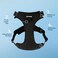 Voyager Dog Harness Dual Leash Attachment No-Pull Control Adjustable Soft but Strong Pet Harness for Medium and Large Dogs with 3M Reflective Technology - Harness Leash Set (Black, XS.