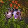 MUMTOP Solar Lantern - Waterproof Solar Lights Outdoor Pig Decorative Lantern Tabletop Ornaments for Garden Yard and Christmas Thanksgiving Gift.