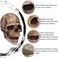 CosTribe Creepy Halloween Full Head Skull Mask with Moving Jaw Scary Latex Helmet with Movable Mouth for Cosplay Party Props.