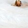 JONIYEAR Extra 2. 8" Long Hair Fluffy Faux Fur Throw Blanket 50" x 60", Luxury Soft Decorative Fuzzy Furry Blanket for Couch, Cozy Plush Shaggy Blankets for Sofa Bed, Cute Lovely Blanket for Pet, Whit