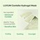 LUVUM Centella Hydrogel Mask - Hydrating Overnight Mask - Gel-Infused Soothing Formula - Advanced Centella for Skin Calming - Ideal for Sensitive Skin - Korean Skin Care Essence, 5-Pack.