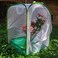 RESTCLOUD Butterfly Habitat with Poo Poo Platter, Butterfly Cage with Poo Poo Tray, Monarch Butterfly Cage with Poo Poo Mat 24 Inches Tall.