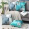 OYIMUA Set of 2 Decorative Velvet Cushion Covers 50 x 50 cm Abstract Art Decor Pillow Case Blue Grey Cushion Cover 20x20 inches for Outdoor Patio Garden Blench Living Room Sofa Farmhouse Decor.
