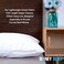 Sidney Sleep Curved Pillow Covers - Full Length Zipper Closure - Premium Soft Brushed Microfiber - 20 x 30 Inches - Fits Curved Side Sleeping Pillows (Queen, White.