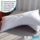 Sidney Sleep Curved Pillow Covers - Full Length Zipper Closure - Premium Soft Brushed Microfiber - 20 x 30 Inches - Fits Curved Side Sleeping Pillows (Queen, White.