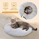 PAWZ Road Cat Tunnel Bed Large Cat Donut Tunnel for Indoor Cats Collapsible Cat Tube with Central Mat, Peek Hole and Cat Toy Hanging Balls for Indoor Cats.