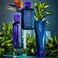 R+Co RCo BLEU Ingenious Thickening Shampoo &ndash; Boosts Body, Bounce, and Shine for Fine Hair, Cleanses and Clarifies, Removes Product Buildup, Adds Instant Volume, 8. 5 oz.