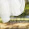 Knirose Newborn Baby Swaddle Blanket Unisex Swaddle Wrap Soft Silky Muslin Swaddle Blankets Neutral Receiving Blanket for Newborn Boys and Girls Large 47 x 47 inches(120x120cm(White.