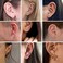 Senteria 10 Pairs 316L Surgical Stainless Steel Gold Hoop Earrings Set 14K Gold Plated Tiny Hoop Earrings Gold Small Hoop Earrings for Women Men Girls Nickel Free (10mm/12mm/14mm/16mm/18mm.