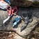 Leatherman Raptor Response Crimson Box.