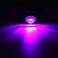 FXC " Purishion 10x 3/4"" Round LED Clearence Light Front Rear Side Marker Indicators Light for Truck Car Bus Trailer Van Caravan Boat, Taillight Brake Stop Lamp (12V, Purple.