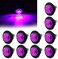 FXC " Purishion 10x 3/4"" Round LED Clearence Light Front Rear Side Marker Indicators Light for Truck Car Bus Trailer Van Caravan Boat, Taillight Brake Stop Lamp (12V, Purple.