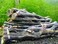 SoShrimp Natural Cholla Wood for Aquarium Decoration Shrimp and Fish Tank (6 Inch (5 Pack.