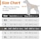 Eagloo Dog Harness No Pull, Walking Pet Harness with 2 Metal Rings and Handle Adjustable Reflective Breathable Oxford Soft Vest Easy Control Front Clip Harness for Small Medium Large Dogs(M,ORANGE