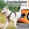 Eagloo Dog Harness No Pull, Walking Pet Harness with 2 Metal Rings and Handle Adjustable Reflective Breathable Oxford Soft Vest Easy Control Front Clip Harness for Small Medium Large Dogs(M,ORANGE