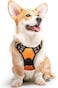 Eagloo Dog Harness No Pull, Walking Pet Harness with 2 Metal Rings and Handle Adjustable Reflective Breathable Oxford Soft Vest Easy Control Front Clip Harness for Small Medium Large Dogs(M,ORANGE