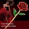 NICEAO (Large, Red- Love Forever Long Stem Gold Foil Trim Red Rose Flower with Transparent Stand, Best Gift for Valentines Day, Mothers Day, Anniversary, Birthday Gift, Treating Yourself, Galentine's