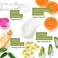 Tree To Tub Gentle, Sensitive Skin Night Cream for Face. The Only pH 5.5 Anti Aging Night Cream with Retinol and Hyaluronic Acid for Glowing Skin. Infused with Ginseng and Green Tea, 2 oz