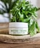 LILY SADO Green Tea MatchaAvocado Face Mask - Organic Natural Vegan Facial Mask - Anti-Aging Antioxidant Defense Against Acne, BlackheadsWrinkles for a Soft Glowing Complexion &ndash; 4 oz