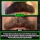 BBS BEST BEARD STUFF 2X Thickening Biotin BalmMustache Wax - Vegan Leave-In Conditioner, Natural Softener, Moisturizer with Castor Oil - All-Natural Care for Thicker Facial Hair Growth - USA Made