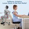 5 STARS UNITED Seat Cushion Pillow for Office Chair - 100% Memory Foam Coccyx Pad - Tailbone, Sciatica, Lower Back Pain Relief - Contoured Posture Corrector for Car, Wheelchair, Computer and Desk Chai