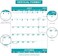 Poluma 2020 Wall Calendar - 2020 Yearly Full Wall Calendar, Perfect for OrganizingPlanning, January 2020 - December 2020, Premium ThickSmooth Paper, Vertical, Bonus Gift Pocket, 34.8" x 22.8" (Open