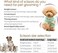 FOGOSP Thinning Shears for Dogs 36 Teeth Blending Shears for Small Medium Dogs 6.5" Professional Pet Thinners Blenders Scissors for Right Groomer(Blender, Gold