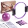 LIONSCOOL PILATES RING SET - Premium Anti-Deformation 14&rdquo;Magic Circle with Dual Padded Handles - Includes Burst Resistant Pilates Mini BallHighly Elastic Resistance Bands - Free Workout GuideBag