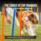 Cloud Star Tricky Trainers Chewy Dog Treats &ndash; Whole Grain Soft, AdultPuppy Training Treats, Salmon 14 oz.