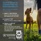 Cloud Star Tricky Trainers Chewy Dog Treats &ndash; Whole Grain Soft, AdultPuppy Training Treats, Salmon 14 oz.
