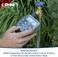 Orbit 56082 3-Outlet Hose Watering Timer, Green