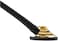 3M Littmann Master Cardiology Stethoscope 2175, Brass-Finish Chestpiece, Black Tube