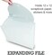 Samsill Expandable Paper Storage Organizer, 12 Pockets with Tabs, Holds 12x12 Inch Scrapbook Paper, Vinyl Paper, Clear, Secure Flap Closure, Retractable Handle