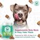 Doggie Dailies Probiotics for Dogs for Digestive Health, Supports Immune System, 225 Soft Chews