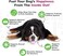Doggie Dailies Probiotics for Dogs for Digestive Health, Supports Immune System, 225 Soft Chews