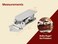 Wise Linkers Rug Animal Hide Hanging Wall Clips Rug Grippers/Rug Clips/Rug Hangers from (Chrome