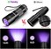 Vansky Black Light UV Flashlight, Blacklight 12 LED Urine Detector For Dog/Cat/Pet UrineDry Stains and Bed Bug On Carpets/Rugs/Floor,Matching with Pet Odor Eliminator