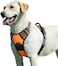 Eagloo Dog Harness No Pull, Walking Pet Harness with 2 Metal Rings and Handle Adjustable Reflective Breathable Oxford Soft Vest Easy Control Front Clip Harness for Small Medium Large Dogs(L,ORANGE