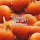 Air Wick Plug in Scented Oil Refill, 2ct, Pumpkin Spice, Air Freshener, Essential Oils, Fall Scent, Fall d&eacute;cor