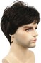 Lydell (6 Chestnut Brown- Men Wig Natural Short Straight Hair Synthetic Full Wigs (6 Dark Brown