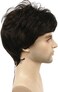 Lydell (6 Chestnut Brown- Men Wig Natural Short Straight Hair Synthetic Full Wigs (6 Dark Brown